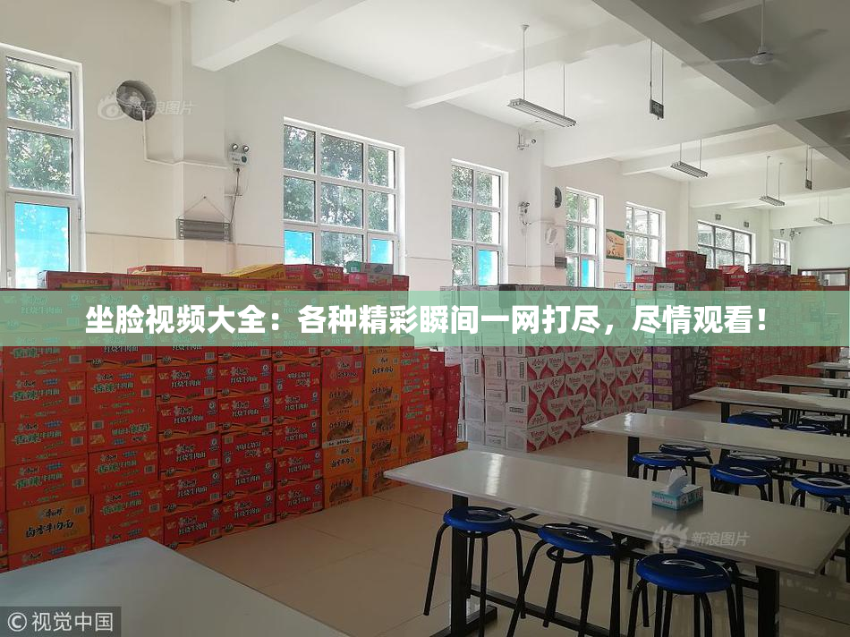 坐脸视频大全：各种精彩瞬间一网打尽，尽情观看！