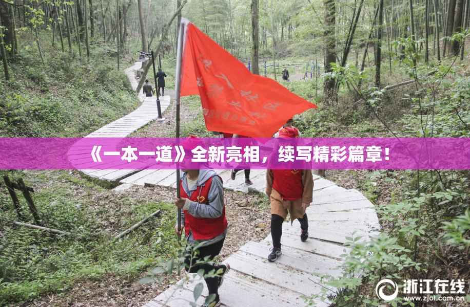 《一本一道》全新亮相，续写精彩篇章！