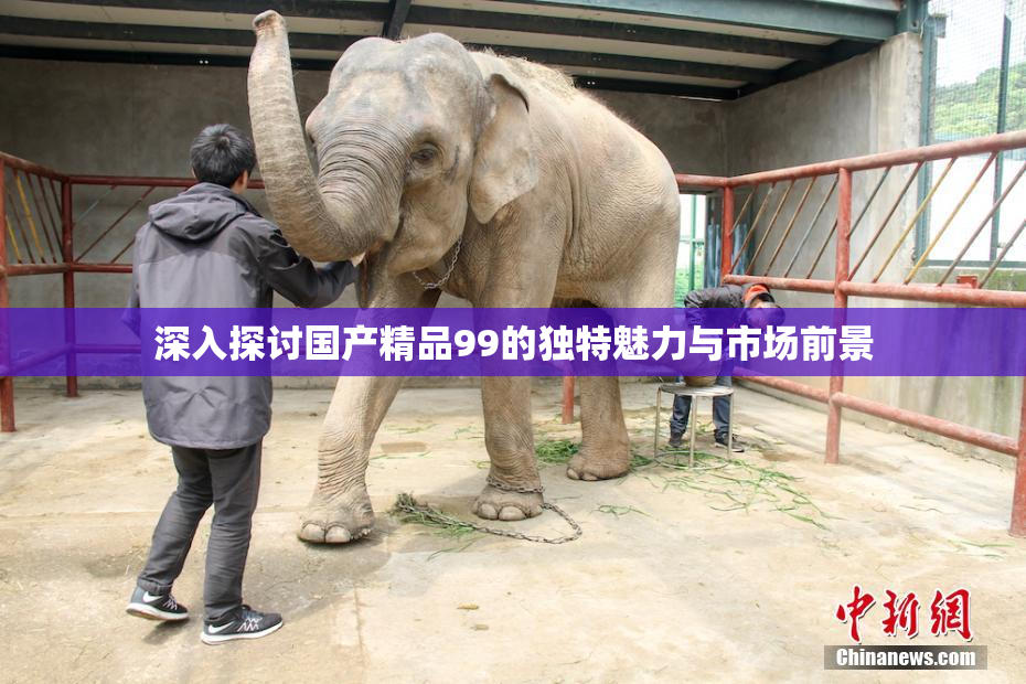 深入探讨国产精品99的独特魅力与市场前景
