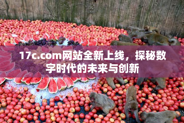 17c.com网站全新上线，探秘数字时代的未来与创新