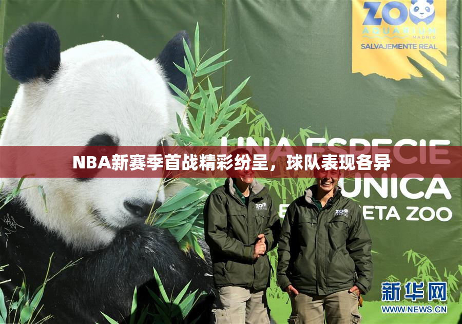 NBA新赛季首战精彩纷呈，球队表现各异
