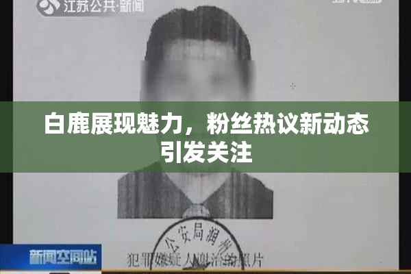 白鹿展现魅力，粉丝热议新动态引发关注