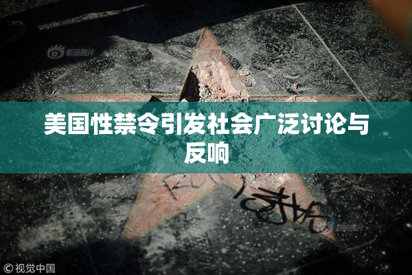 美国性禁令引发社会广泛讨论与反响