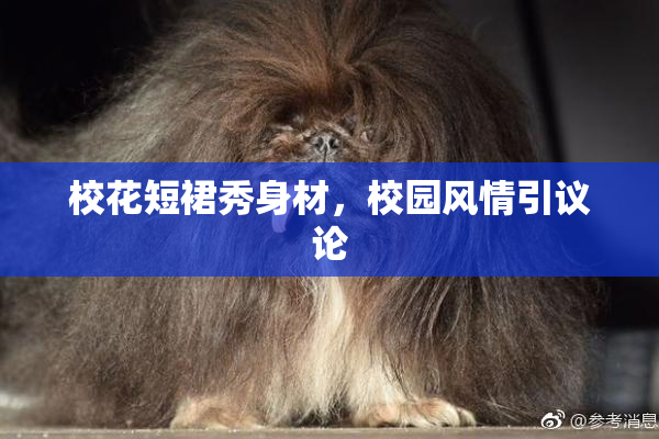 校花短裙秀身材，校园风情引议论