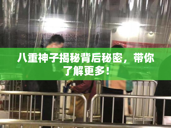 八重神子揭秘背后秘密，带你了解更多！