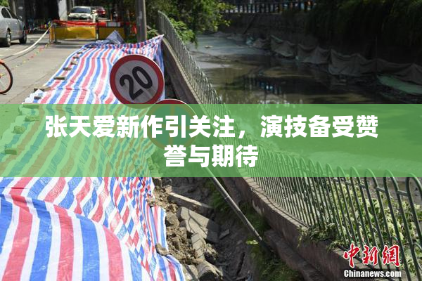 张天爱新作引关注，演技备受赞誉与期待