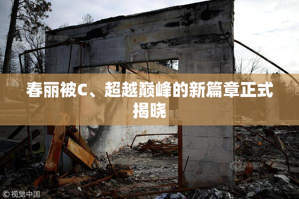 春丽被C、超越巅峰的新篇章正式揭晓