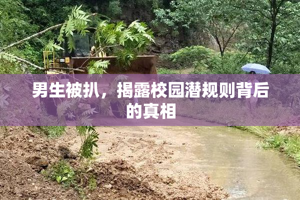 男生被扒，揭露校园潜规则背后的真相