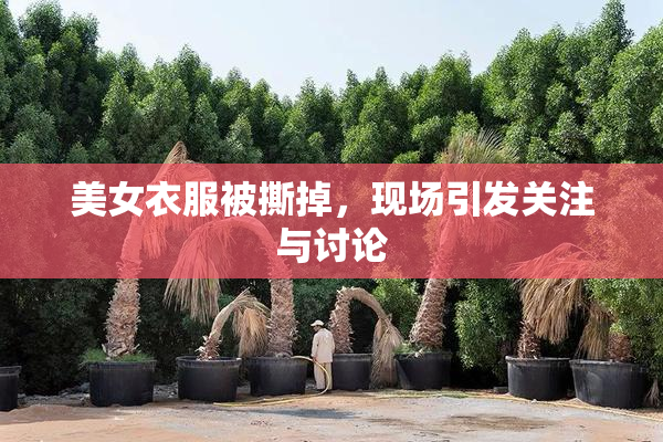 美女衣服被撕掉，现场引发关注与讨论