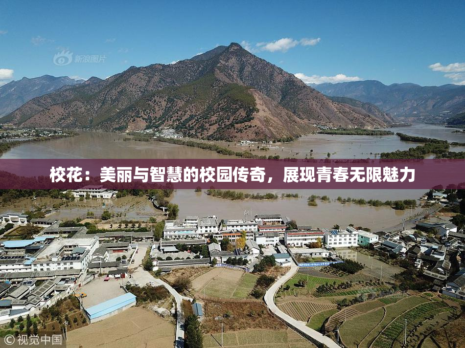 校花：美丽与智慧的校园传奇，展现青春无限魅力