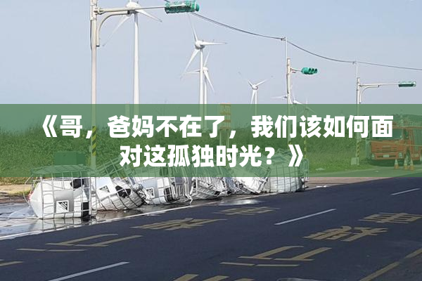 《哥，爸妈不在了，我们该如何面对这孤独时光？》