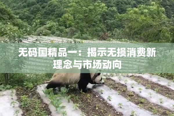 无码国精品一：揭示无损消费新理念与市场动向