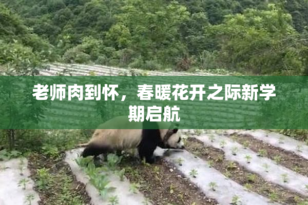 老师肉到怀，春暖花开之际新学期启航