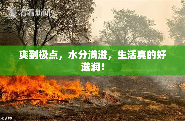 爽到极点，水分满溢，生活真的好滋润！