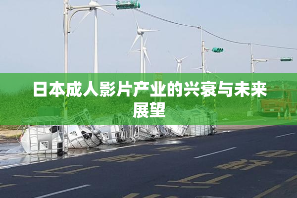 日本成人影片产业的兴衰与未来展望
