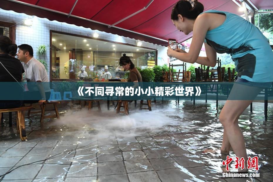 《不同寻常的小小精彩世界》