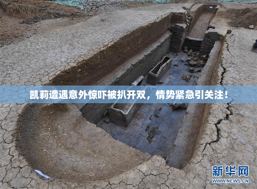凯莉遭遇意外惊吓被扒开双，情势紧急引关注！