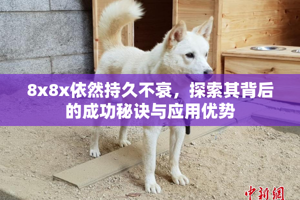 8x8x依然持久不衰，探索其背后的成功秘诀与应用优势