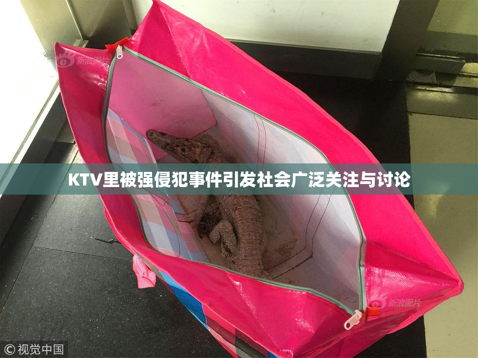 KTV里被强侵犯事件引发社会广泛关注与讨论