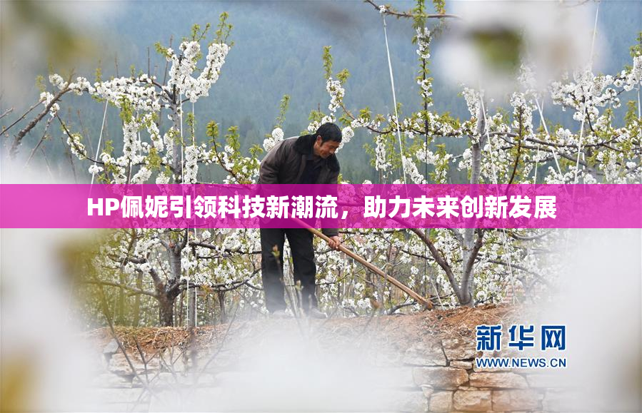 HP佩妮引领科技新潮流，助力未来创新发展