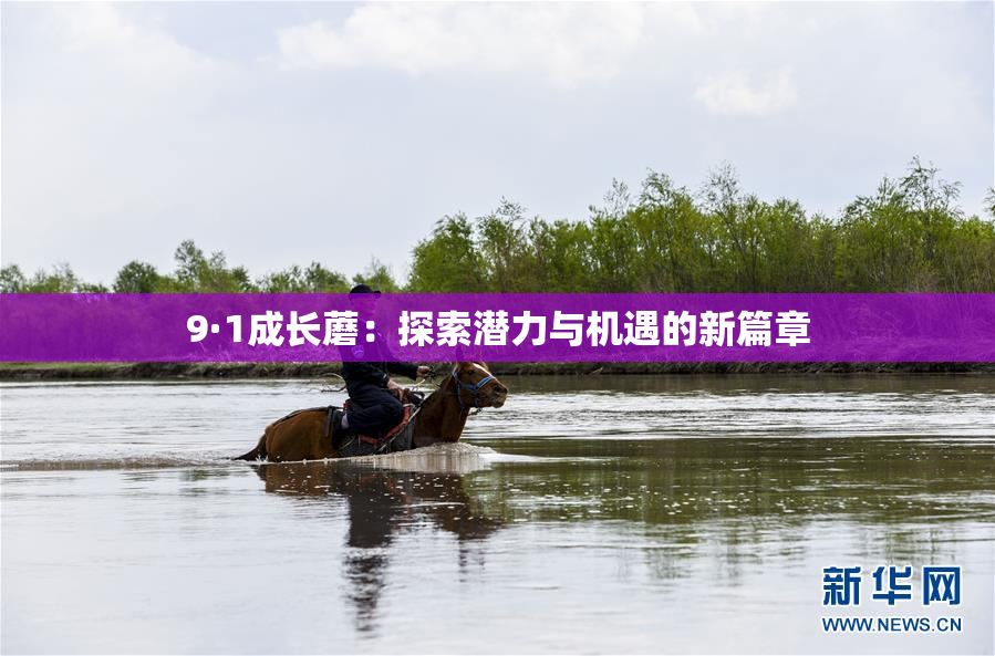 9·1成长蘑：探索潜力与机遇的新篇章