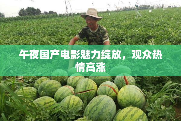 午夜国产电影魅力绽放，观众热情高涨