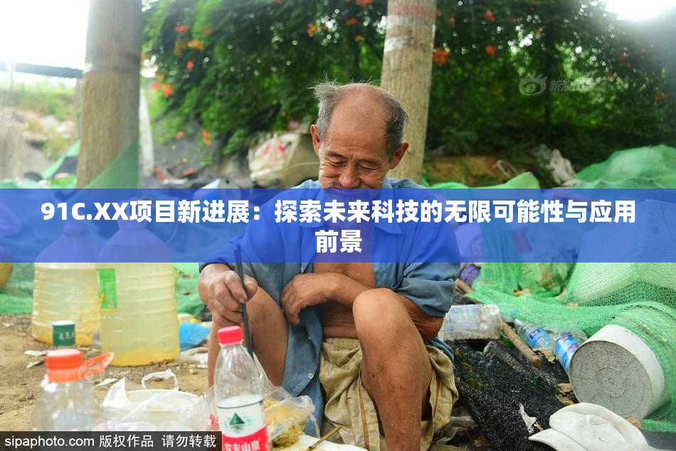 91C.XX项目新进展：探索未来科技的无限可能性与应用前景