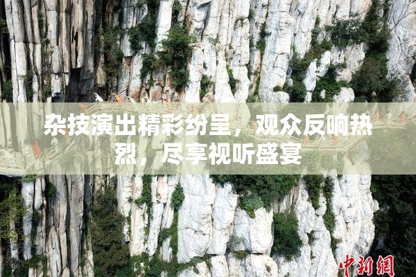 杂技演出精彩纷呈，观众反响热烈，尽享视听盛宴