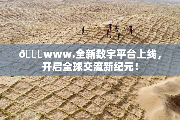 🔞www.全新数字平台上线，开启全球交流新纪元！