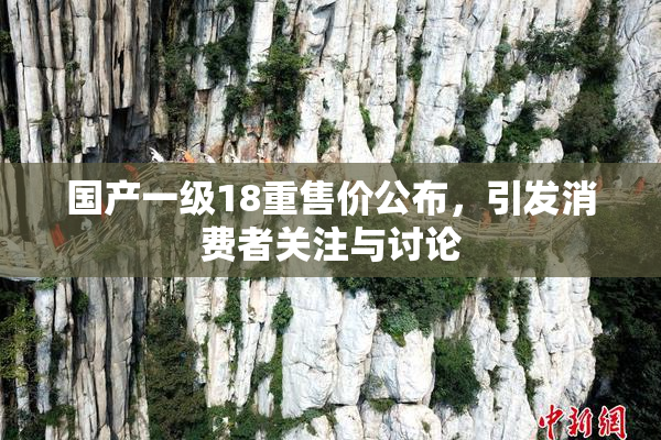 国产一级18重售价公布，引发消费者关注与讨论