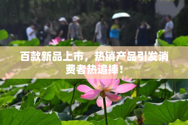 百款新品上市，热销产品引发消费者热追捧！