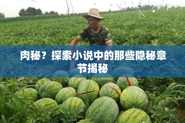 肉秘？探索小说中的那些隐秘章节揭秘