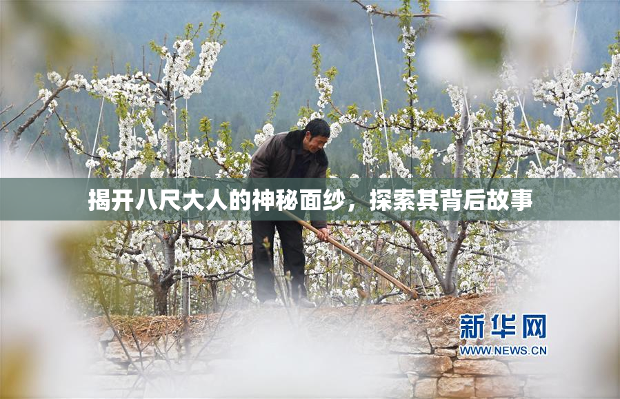 揭开八尺大人的神秘面纱，探索其背后故事