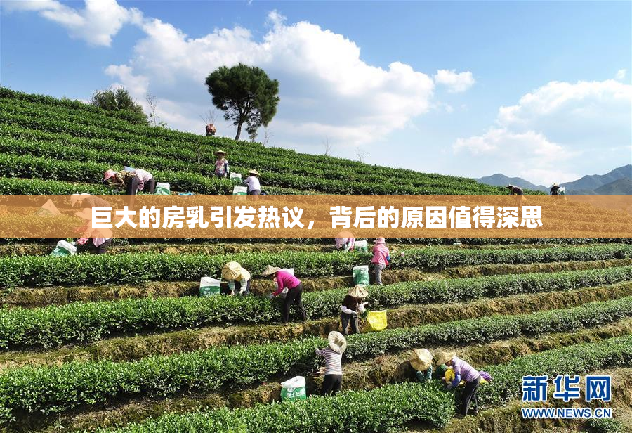 巨大的房乳引发热议，背后的原因值得深思