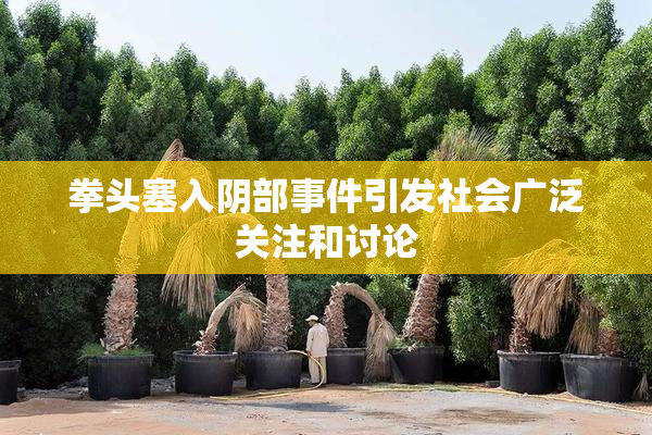 拳头塞入阴部事件引发社会广泛关注和讨论