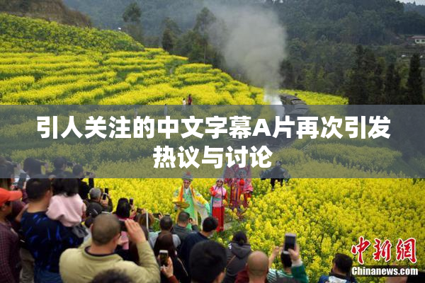 引人关注的中文字幕A片再次引发热议与讨论