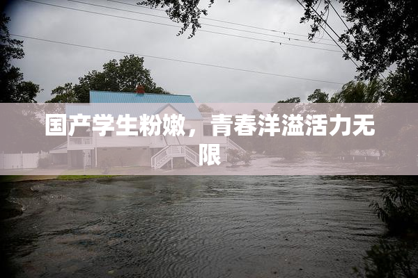 国产学生粉嫩，青春洋溢活力无限