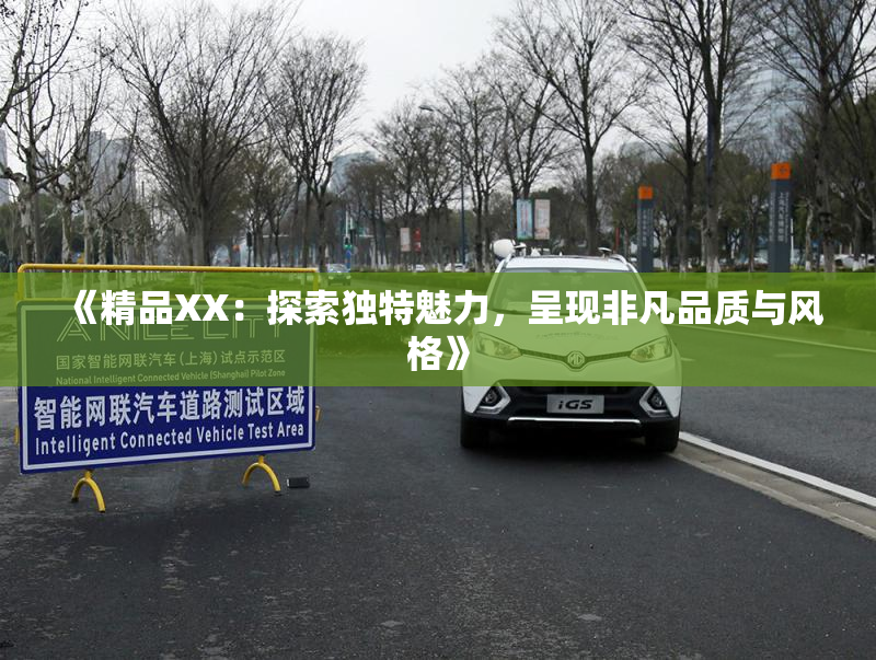 《精品XX：探索独特魅力，呈现非凡品质与风格》