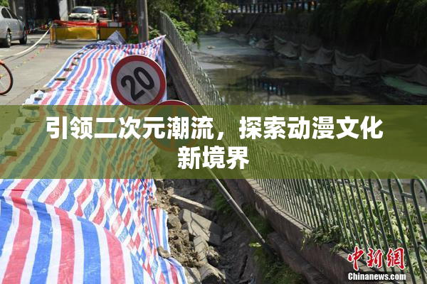 引领二次元潮流，探索动漫文化新境界