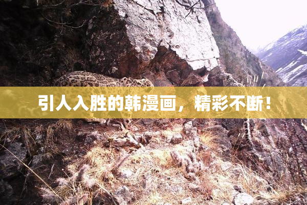 引人入胜的韩漫画，精彩不断！