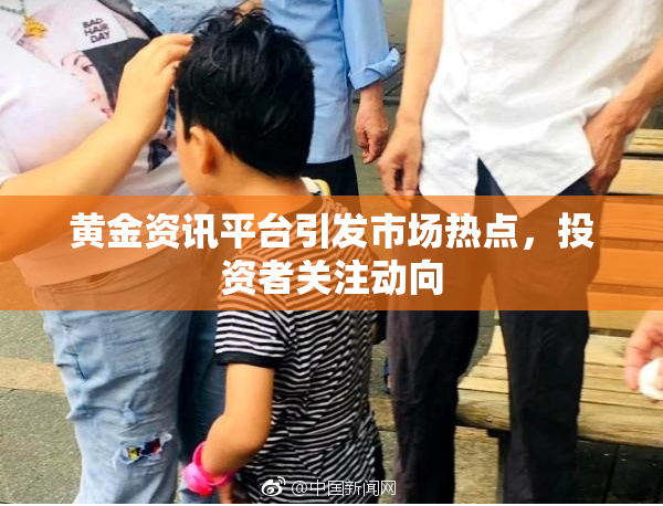 黄金资讯平台引发市场热点，投资者关注动向