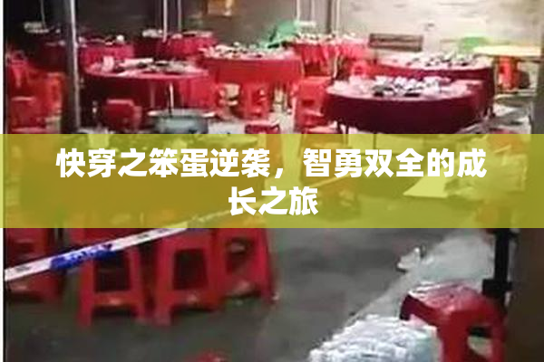 快穿之笨蛋逆袭，智勇双全的成长之旅