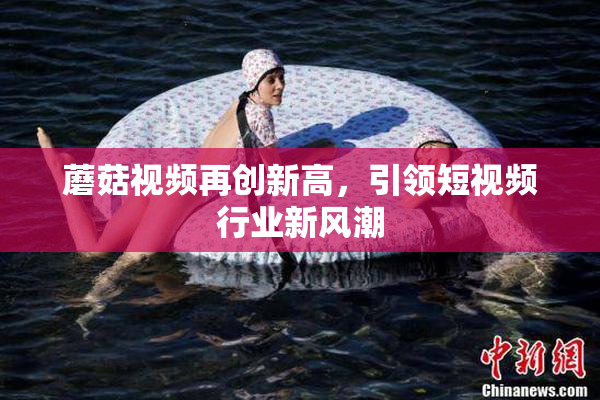 蘑菇视频再创新高，引领短视频行业新风潮