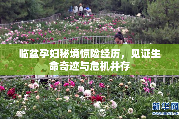 临盆孕妇秘境惊险经历，见证生命奇迹与危机并存