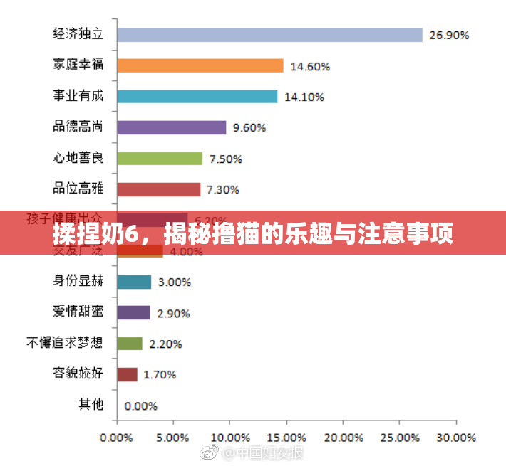 揉捏奶6，揭秘撸猫的乐趣与注意事项