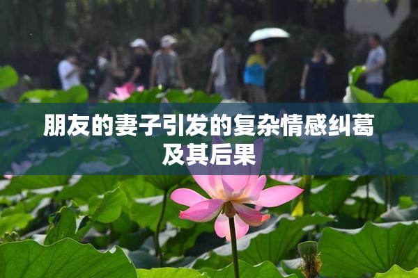朋友的妻子引发的复杂情感纠葛及其后果