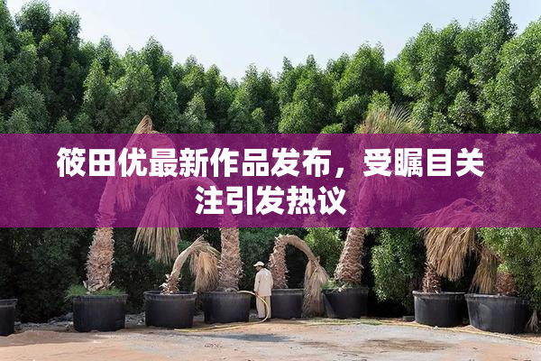 筱田优最新作品发布，受瞩目关注引发热议