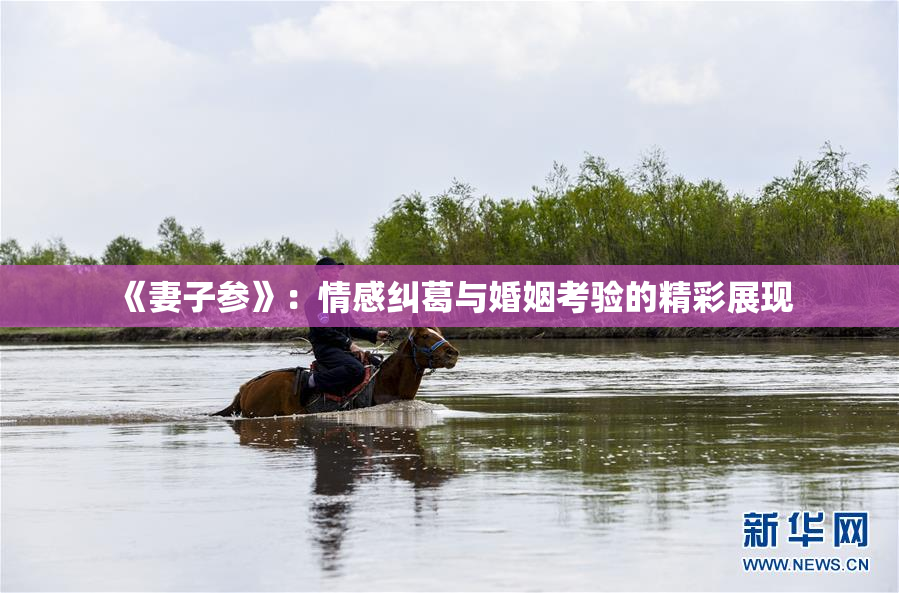 《妻子参》：情感纠葛与婚姻考验的精彩展现