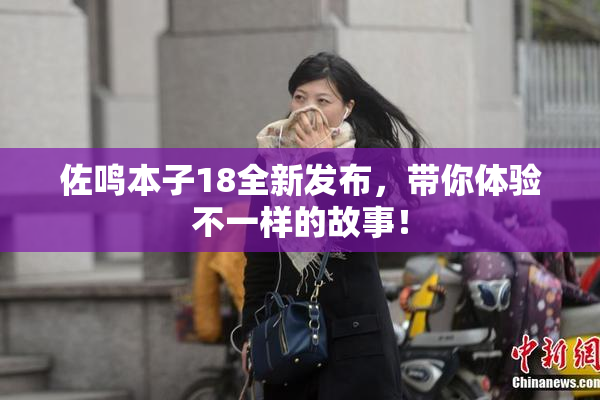 佐鸣本子18全新发布，带你体验不一样的故事！