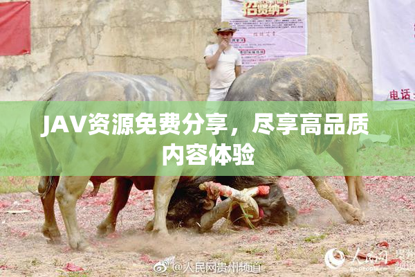 JAV资源免费分享，尽享高品质内容体验